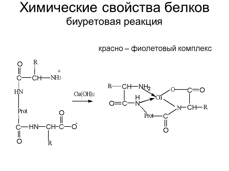 Химические свойства белков биуретовая реакция         